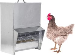 RentACoop Galvanized Chicken Trough Feeder, 25-lb
