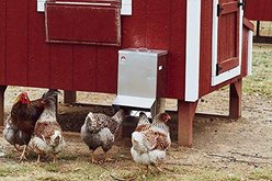 RentACoop Weatherproof Galvanized Chicken Trough Feeder, 25-lb slide 2 of 6