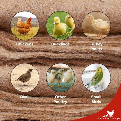 Show full view: RentACoop Jute Chicken Brooder Liners, 4 count, Large slide 3 of 7
