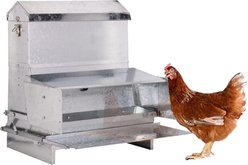RentACoop Metal Poultry Treadle Feeder, 40-lb