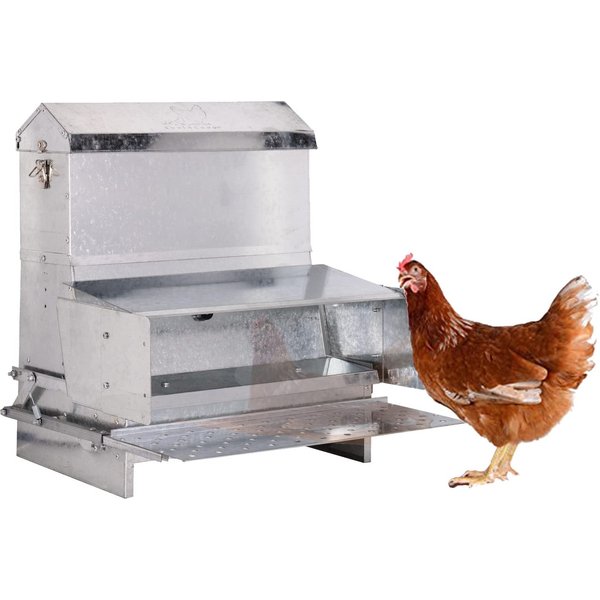 RentACoop Automatic Metal Poultry Treadle Feeder, 40-lb