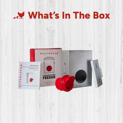 RentACoop Chick2Chicken Medium Port Chicken Feeder with Cover, 3-lb slide 2 of 5