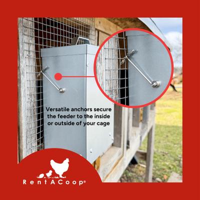 Show full view: RentACoop Chick2Chicken Medium Port Chicken Feeder with Cover, 3-lb slide 4 of 6