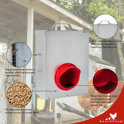 Show full view: RentACoop Chick2Chicken Medium Port Chicken Feeder with Cover, 3-lb slide 3 of 6