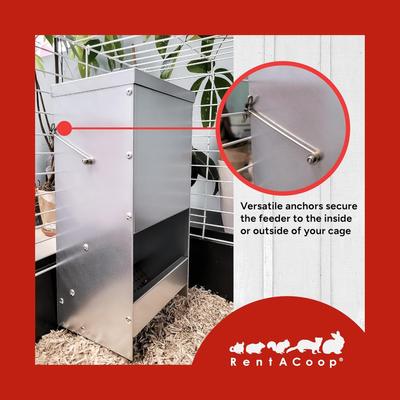 Show full view: RAC Paws by RentACoop Metallic Rabbit Feeder, 5lb slide 4 of 4