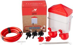 RentACoop DIY Sip Station Poultry Drinker System Mini Kit, 64-oz