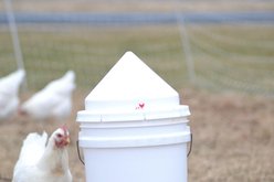 RentACoop Round Anti-Roost Cone for Standard 5-gal Buckets slide 2 of 2
