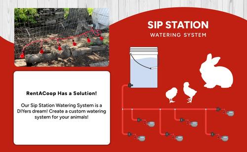 Show full view: RentACoop DIY Sip Station Chicken Watering System Tubing Adaptors & Barbed T-Connectors Multipack slide 6 of 6