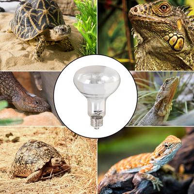 Show full view: REPTI ZOO 100W Sun Basking Reptile Terrarium Lamp slide 7 of 8