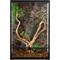 Show in main carousel: REPTI ZOO 2-in-1 Tall Glass Reptile Terrarium, Black slide 2 of 9