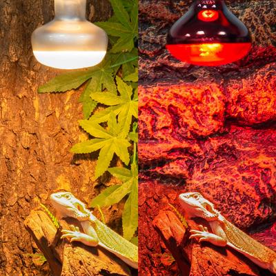 Show full view: REPTI ZOO Basking Spot Lamp & Nocturnal Infrared Heat Lamp-100W Reptile Bulb, Multicolor, 4 count slide 6 of 7