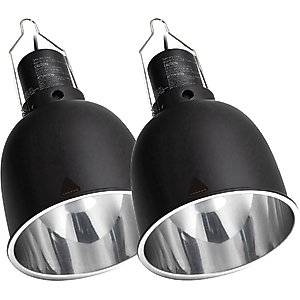 Exo Terra Reptile Dome