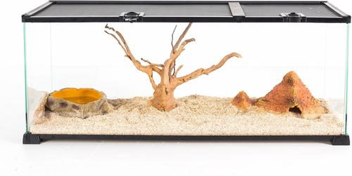 Show full view: REPTI ZOO Knock-down Double Top Cover Glass Terrarium, Black, 18-gal slide 2 of 9