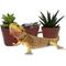 Show in main carousel: ReptiFauna Bearded Dragon 2-in Pot Live Plant, 3 count slide 2 of 6