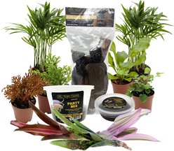 ReptiFauna BioActive Large Tropical Bundle Lizard Starter-Kit