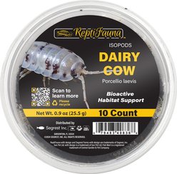 ReptiFauna Dairy Cow Isopod, 16-oz, 10 count slide 1 of 6