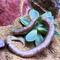 Show in main carousel: ReptiFauna Desert Echeveria Reptile Live, 2-in Pot, 1 count slide 2 of 9