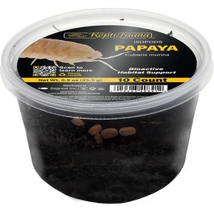 ReptiFauna Papaya Isopod, 16-oz, 10 count