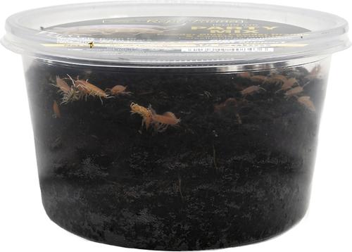 Show full view: ReptiFauna Party Mix Isopod, 16-oz, 10 count slide 6 of 7