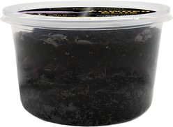 ReptiFauna Powder Blue Isopod, 16-oz, 15 count slide 2 of 6