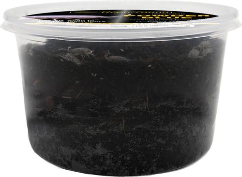 Show full view: ReptiFauna Powder Blue Isopod, 16-oz, 15 count slide 6 of 7