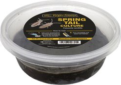 ReptiFauna Springtail Clay Culture Lizard Starter-Kit