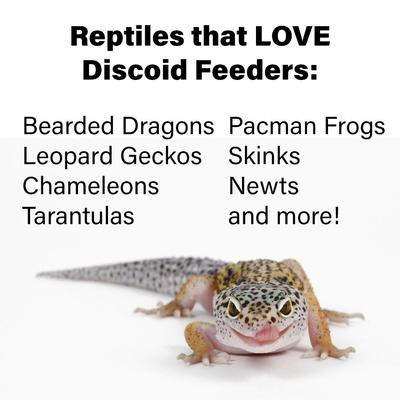 Show full view: ReptiFeast Discoid Reptile Food, Medium, 12 count slide 4 of 4