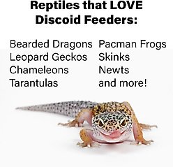 ReptiFeast Discoid Reptile Food, Small, 50 count slide 2 of 4