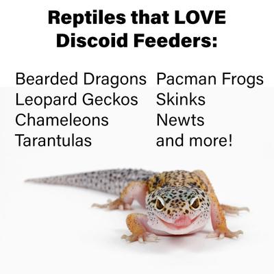 Show full view: ReptiFeast Discoid Reptile Food, Small, 50 count slide 4 of 5