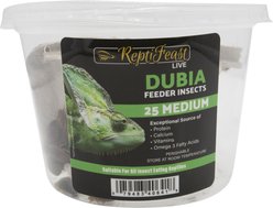 ReptiFeast Dubia Reptile Food, Medium, 25 count
