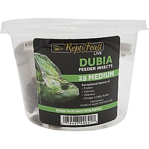 ReptiFeast Dubia Reptile Food, Medium, 25 count