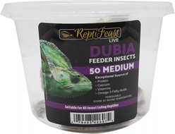 ReptiFeast Dubia Reptile Food, Medium, 50 count