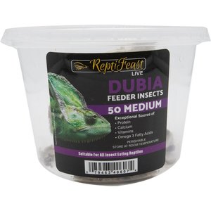 ReptiFeast Dubia Reptile Food, Medium, 50 count
