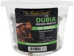 ReptiFeast Dubia Reptile Food, Small, 50 count slide 1 of 4