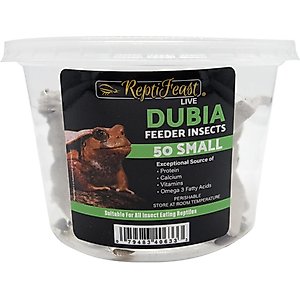 ReptiFeast Dubia Reptile Food, Small, 50 count