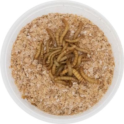 Show full view: ReptiFeast Mealworm Reptile Food, 50 count slide 3 of 6
