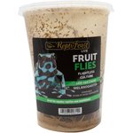 BugCo Live Fruit Fly Culture Reptile Food, 16-oz
