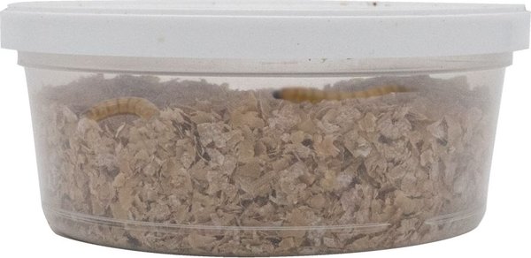ReptiFeast Superworm Reptile Treats