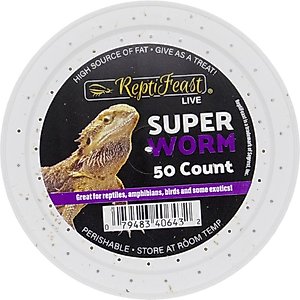 ReptiFeast Superworm Reptile Treats, 50 count