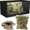 Show in main carousel: Reptile Starter Kit - Symton Reptile Enclosure, 120-gal + 2 other items slide 1 of 5
