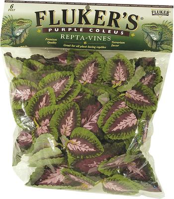 Show full view: Reptile Starter Kit - Symton Reptile Enclosure, 120-gal + 2 other items slide 2 of 5