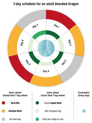 Show full view: Reptile Systems A La Carte Insect Food, 2.1-oz slide 3 of 4