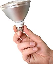 Reptile Systems Eco Halogen Reptile Replacement Heat Lamp, 2 count, White, 100-watt slide 2 of 6