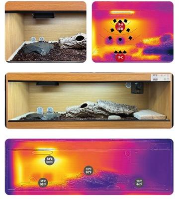 Show full view: Reptile Systems Eco Gold Infrared Reptile Heat Lamp Unit, 200-watt slide 4 of 8