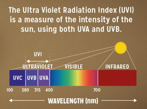 Show full view: Reptile Systems Mercury Vapor D3 Pro Reptile Basking Lamp, 100-watt slide 9 of 10