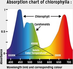 Reptile Systems New Dawn Proten Led Terrarium Plant Growth Lamp, 28-watt slide 2 of 8