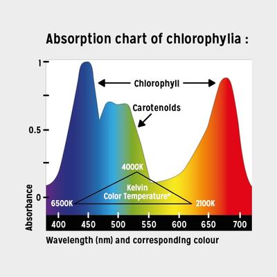Show full view: Reptile Systems New Dawn Proten Led Terrarium Plant Growth Lamp, 28-watt slide 6 of 8