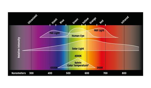Show full view: Reptile Systems New Dawn Proten Led Terrarium Plant Growth Lamp, 14-watt slide 5 of 9