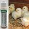 Show in main carousel: Reptilinks Chicken Chick Juice Reptile Liquid Supplement, 1-oz bottle slide 1 of 2