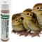 Show in main carousel: Reptilinks Quail Juice Reptile Liquid Supplement, 1-oz bottle slide 1 of 2